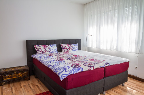 Twin Room apartment (Friedrichshafen) - Gallery - 18