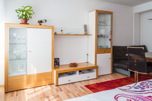 Twin Room apartment (Friedrichshafen) - Gallery - 21