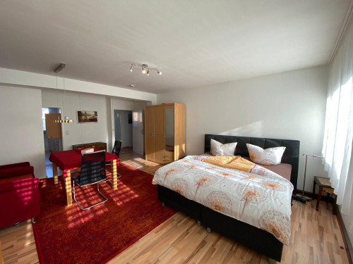 Twin Room apartment (Friedrichshafen) - Gallery - 14