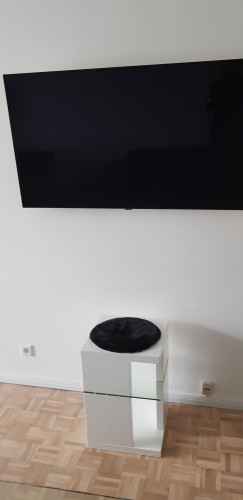 in Flensburg - Gallery - 17