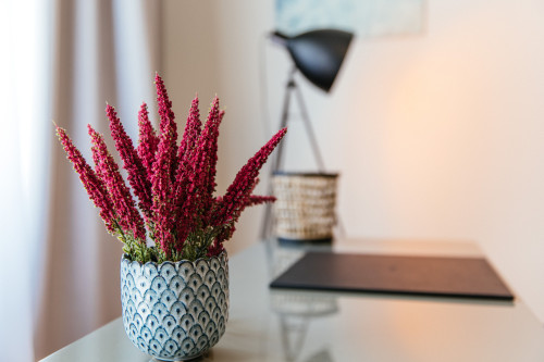 Stylish Ground Floor Studio with Terrace at Aliceplatz