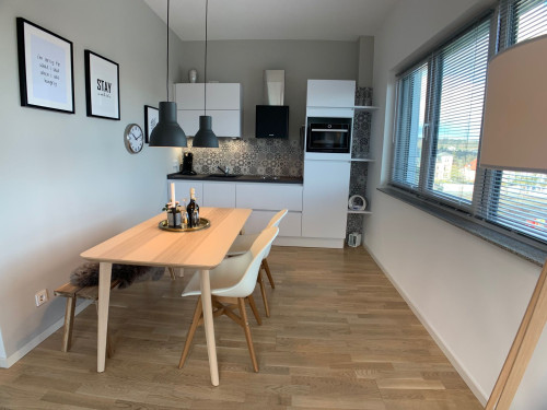 Penthouse Flat with Rooftop Terrace near Goldstein-Park in Bad Nauheim - Gallery - 21