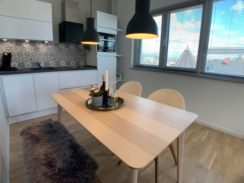 Penthouse Flat with Rooftop Terrace near Goldstein-Park in Bad Nauheim - Gallery - 20