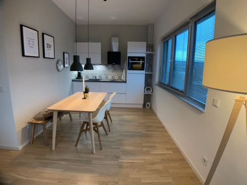 Penthouse Flat with Rooftop Terrace near Goldstein-Park in Bad Nauheim - Gallery - 29