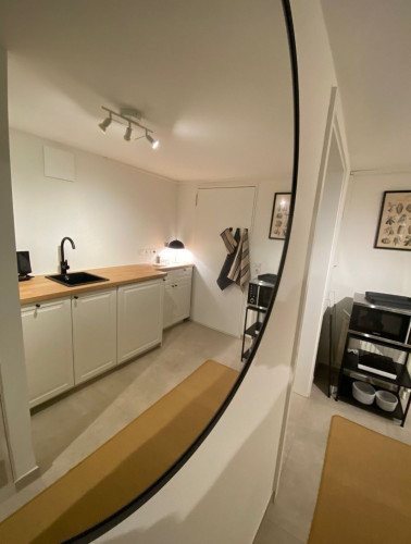 Beautiful old town flat