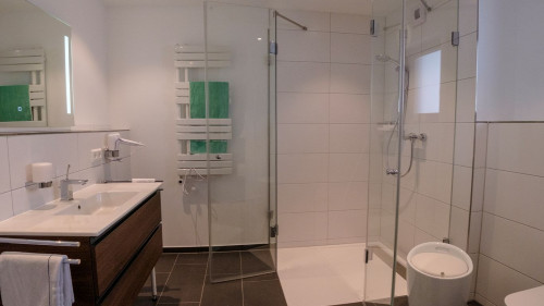 Great home with nice city view (Weil am Rhein) - Gallery - 5