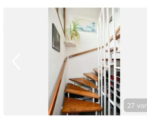 New & amazing suite