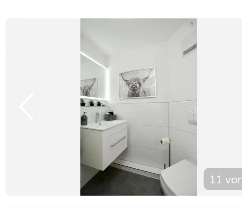 New & Amazing Suite  -  New & amazing suite  - Gallery -  4