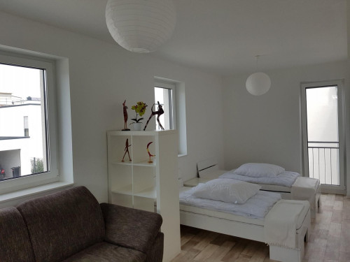 Bright modern apartment with large balcony