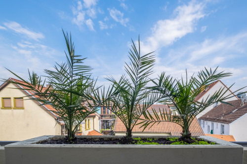 Studio Fayence - Karlsruhe Durlach