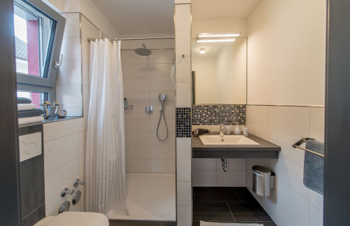 Comfort holiday apartment "Family-Loggia" - the finest and most stylish apartment in Bensheim