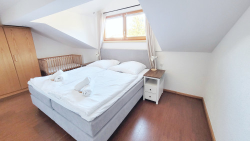Cosy holiday flat in Bodenmais I Sauna I Balcony I View Silberberg - Gallery - 23