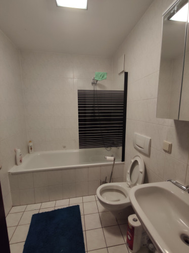 Beautiful 4 room apartment with terrace in Neuhofen - Gallery - 10