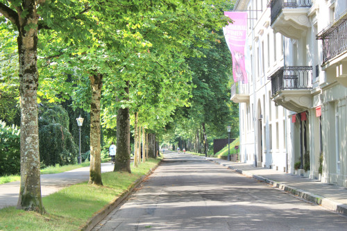 Quiet flat in the center of Baden-Baden - Gallery - 18