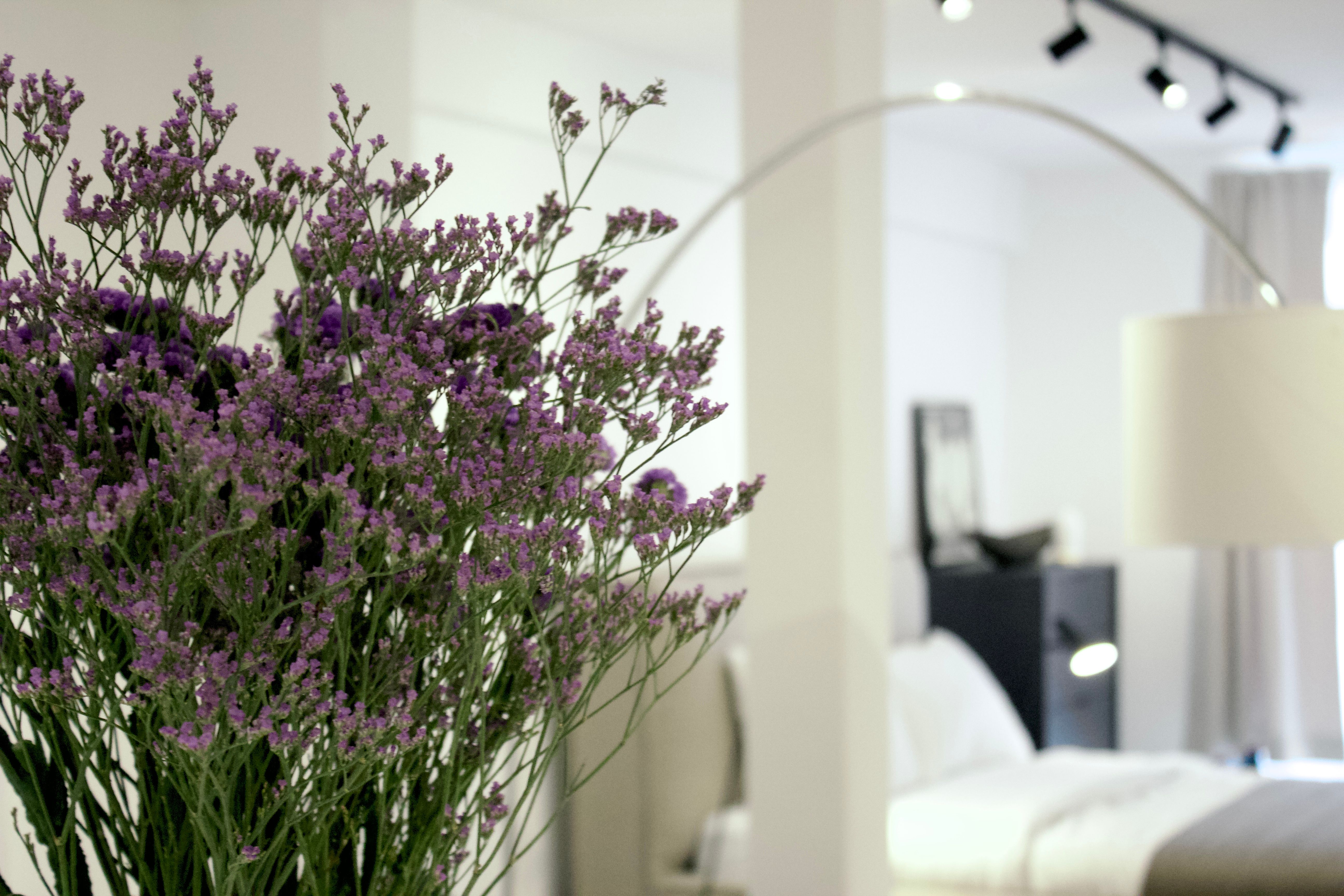 Quiet Flat In The Center Of Baden-Baden - 5