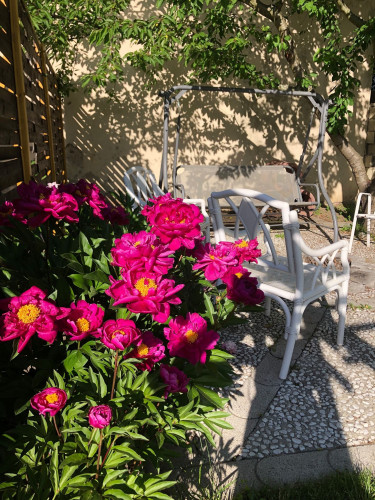 Cute & spacious flat located in Markkleeberg