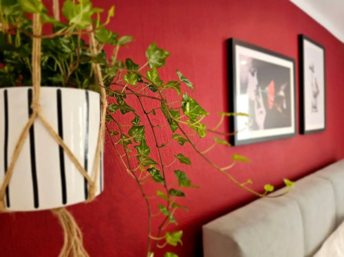 Kolibri - Design Maisonette with Switch & Streaming - Gallery - 16