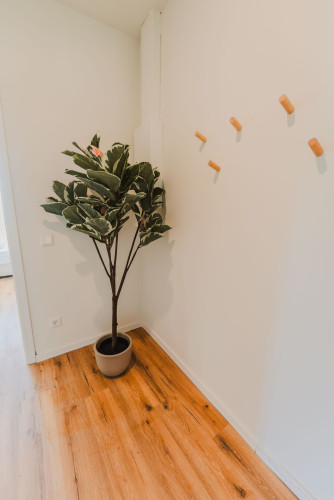 Staylight Penthouse by the French Garden - 7 Min to Old Town