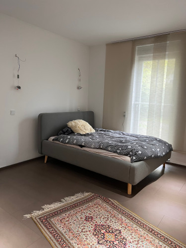 luxury Apartment - best area of Darmstadt