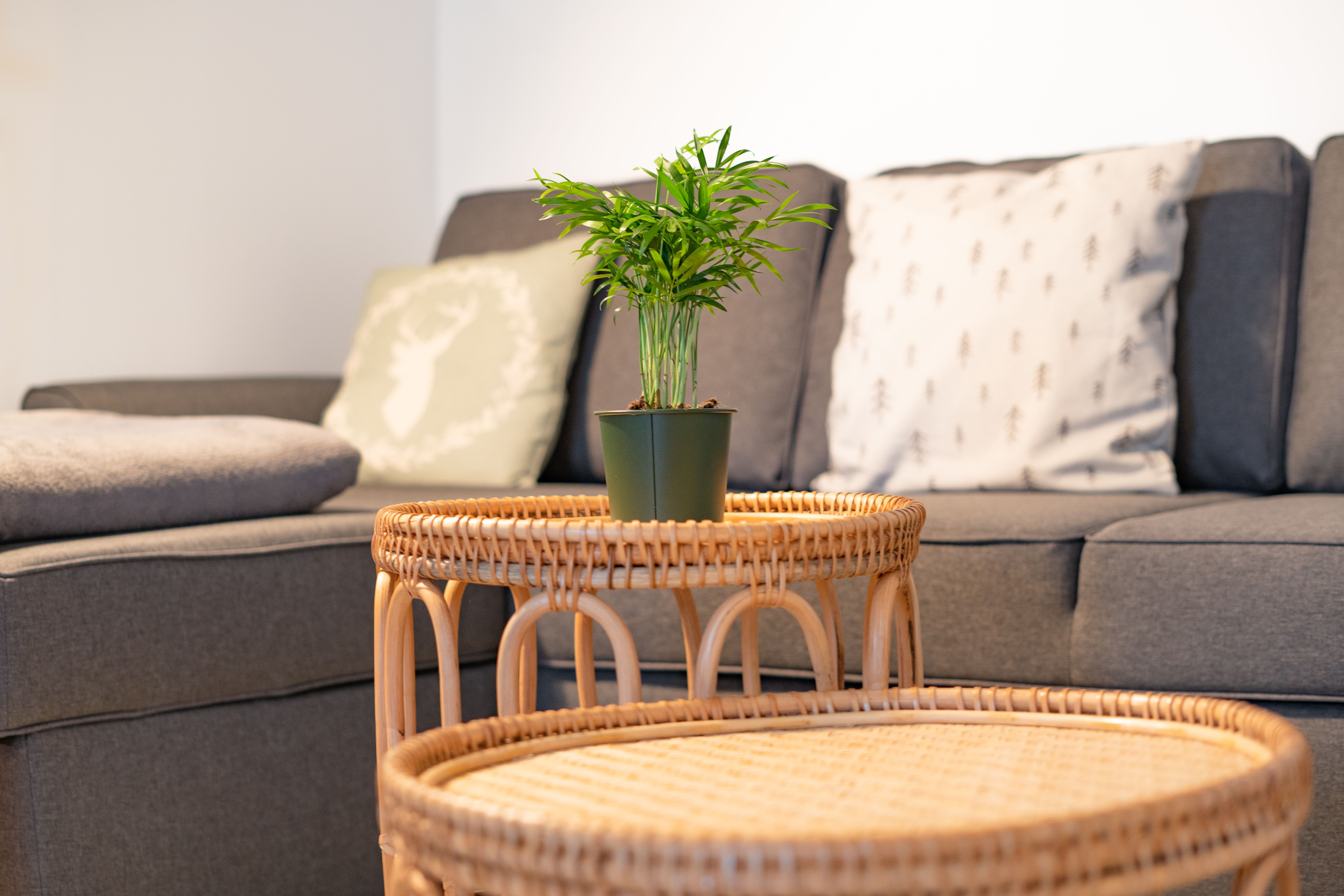  Spacious, Cozy 3-Bedroom Apartment With Parking & Smart TV  -  Spacious, cozy 3-bedroom apartment with parking & Smart TV  - Gallery -  2
