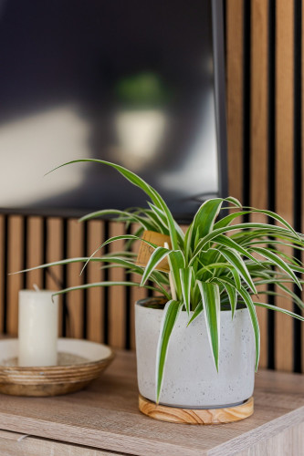 Troja Living - Appartement Helena at the Park central in Bruchsal - Gallery - 23