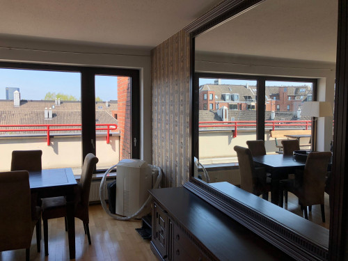 Newly renovated, cute , new penthouse close to park with a lovely view
