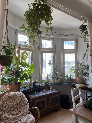 Charming, centrally located heritage apartment - Gallery - 12