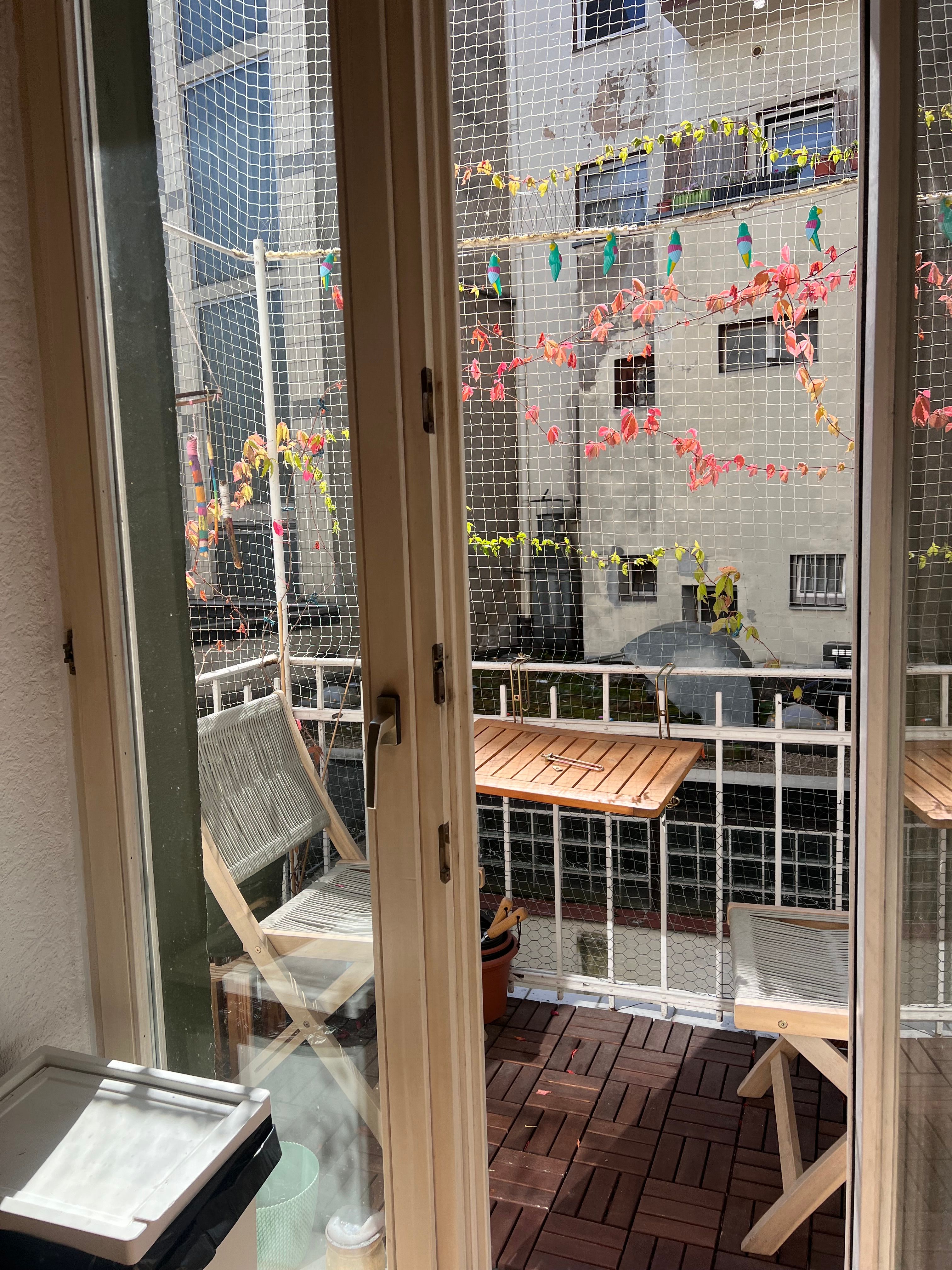 Charming, Centrally Located Heritage Apartment - 4