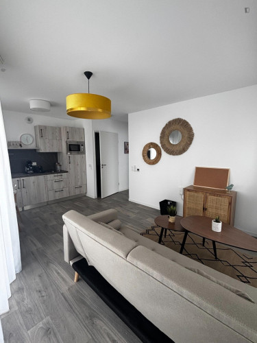 Welcoming 1-bedroom apartment in canton of Lille-Sud