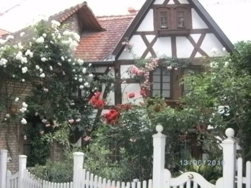 Historic traditional house in Weinheim - Gallery - 7