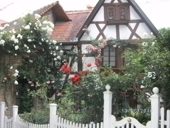 Historic Traditional House In Weinheim - 3