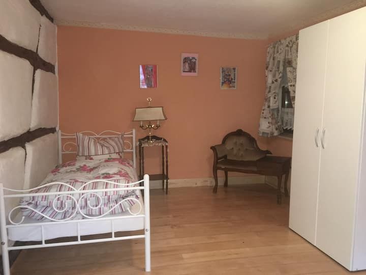 Historic Traditional House In Weinheim - 9