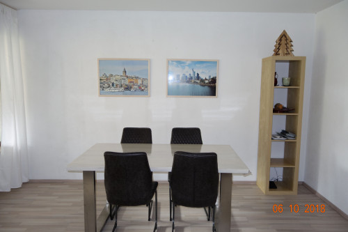 Spacious & fashionable apartment in Tübingen - Gallery - 5