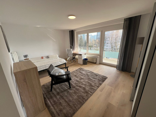 Lovely flat newly renovated (Eschborn)