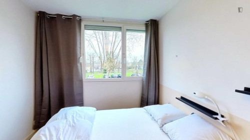 Pleasant double bedroom in Talence