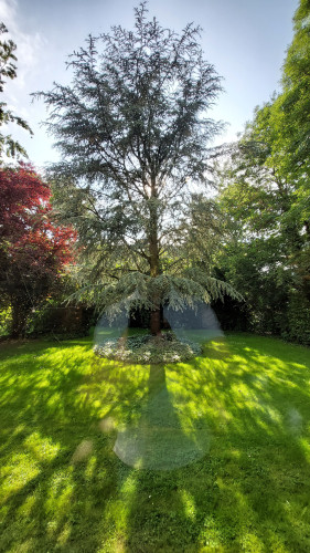 Wonderful furnished 3-room apartment in Kempen  - Gallery -  5