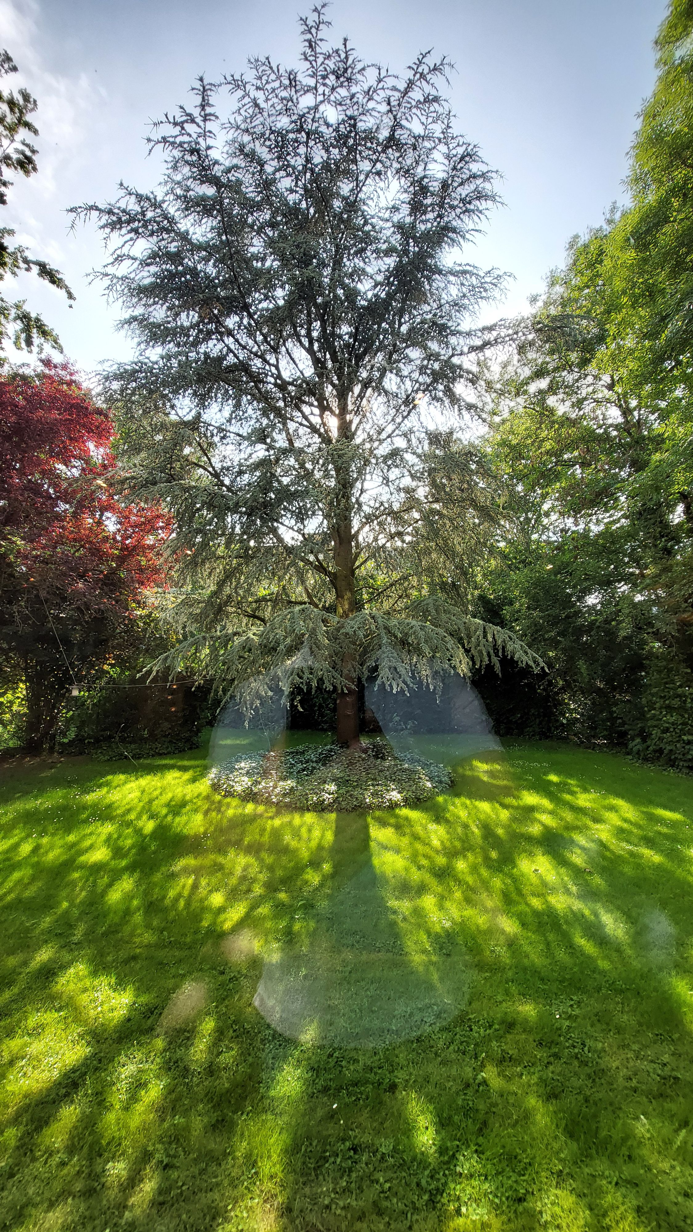 Wonderful Furnished 3-Room Apartment In Kempen - Wonderful furnished 3-room apartment in Kempen - Gallery - 5