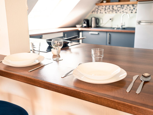 Penthouse-Suite near University
