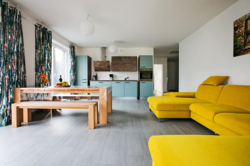 Modern stylish apartment with large terrace