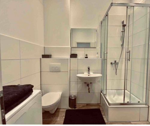Spacios, fully equipped Apartment in Mannheim_Neckerau
