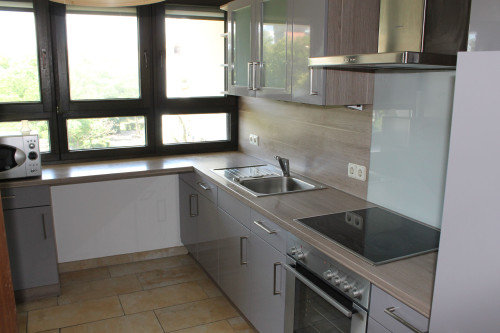 Great apartment next to Faber Castell || Wide Kitchen || Bright and Cozy (Nürnberg)