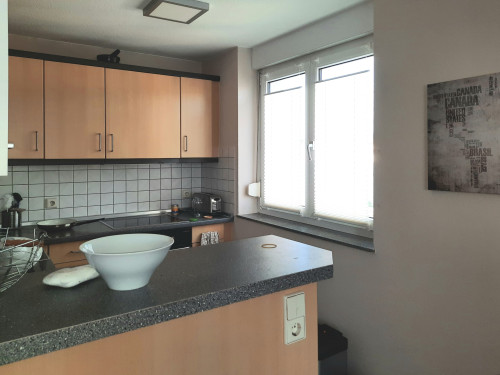Beautiful, bright penthouse apartment with 2 balconies in Freiburg Rieselfeld, tram connection - Gallery - 3