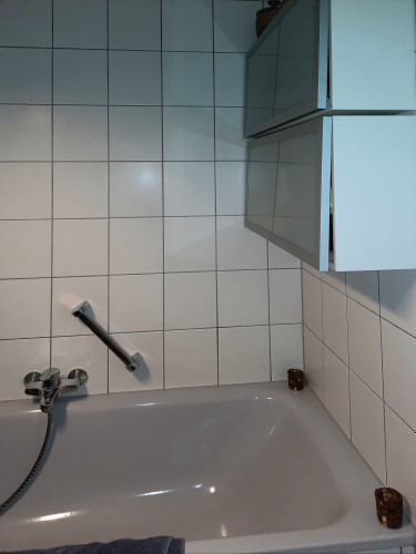 Beautiful, bright penthouse apartment with 2 balconies in Freiburg Rieselfeld, tram connection - Gallery - 8