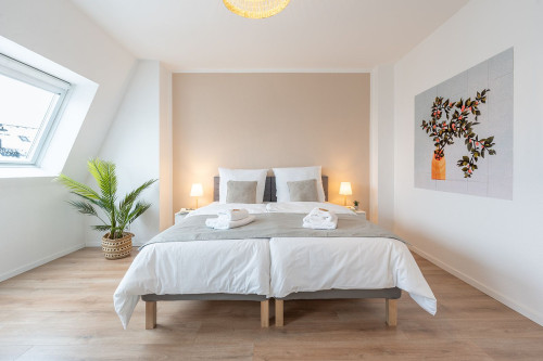 Benville Freital | Business - Smart TV - Wi-Fi