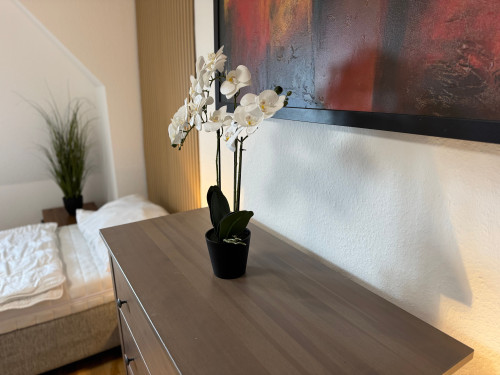 Large furnished maisonette apartment - 4 bedrooms - 6 persons - parking lot - Smart-TV - Gallery - 21