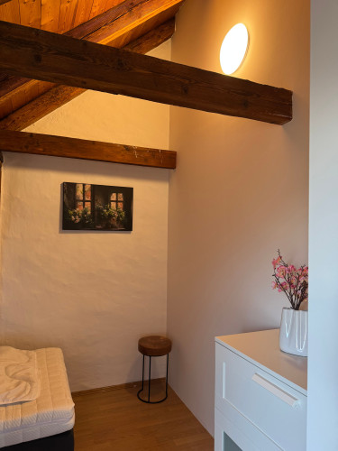 Large furnished maisonette apartment - 4 bedrooms - 6 persons - parking lot - Smart-TV - Gallery - 37