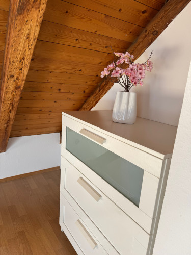 Large furnished maisonette apartment - 4 bedrooms - 6 persons - parking lot - Smart-TV