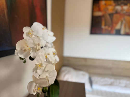 Large furnished maisonette apartment - 4 bedrooms - 6 persons - parking lot - Smart-TV - Gallery - 30