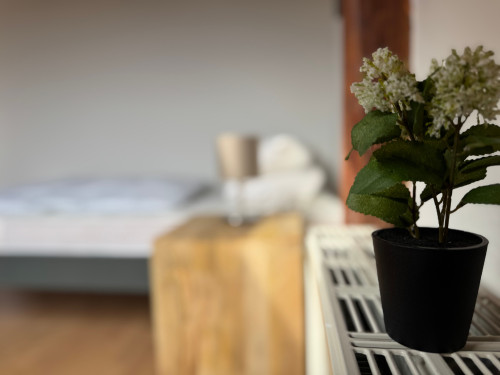Large furnished maisonette apartment - 4 bedrooms - 6 persons - parking lot - Smart-TV - Gallery - 35