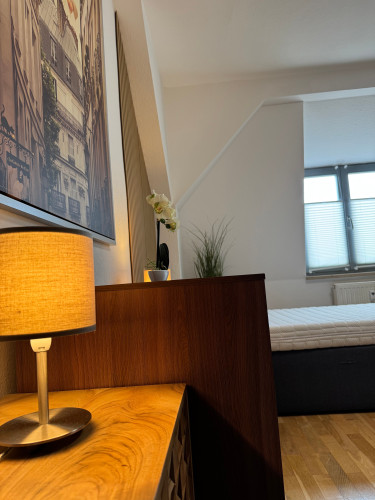 Large furnished maisonette apartment - 4 bedrooms - 6 persons - parking lot - Smart-TV - Gallery - 20